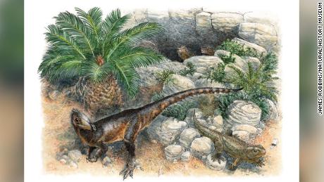 Il dinosauro Dinky era il più giovane del suo genere quando vagava per il Galles 200 milioni di anni fa