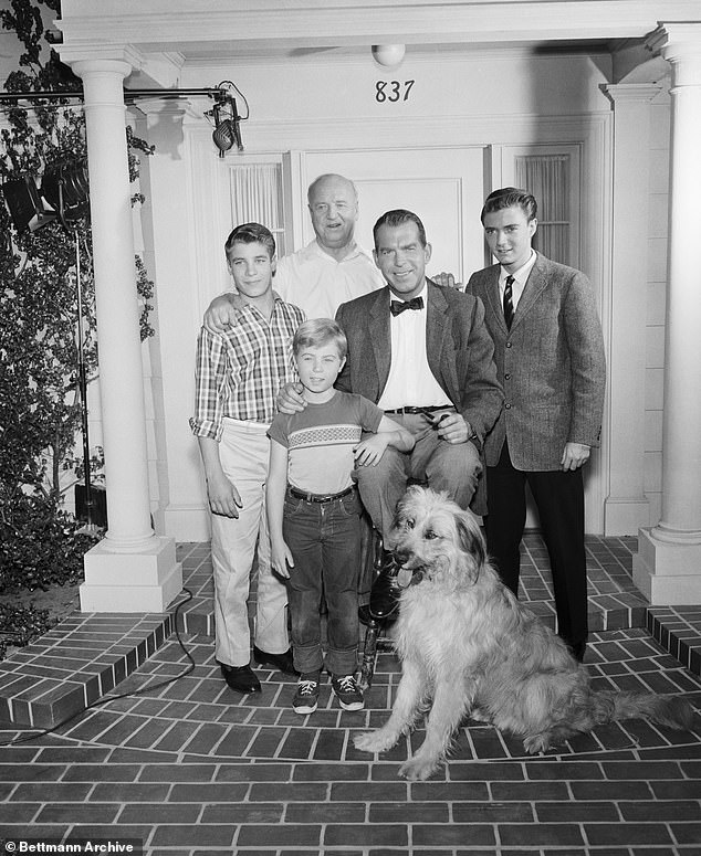 Focolaio: dopo il successo con la Disney negli anni '50, Considine ha recitato in I miei tre figli dal 196 al 1965, anche se lo spettacolo è durato fino al 1972;  Nella foto a destra con Don Grady, Stanley Livingston, William Frawley e Fred McMurray