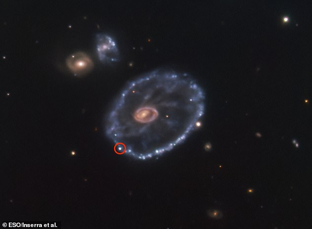 La supernova, chiamata SN2021afdx, si è verificata nella galassia Cartwheel dalla forma insolita, che si trova nella costellazione dello Scultore.