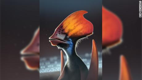 Lo studio afferma che gli pterosauri erano ricoperti di piume colorate