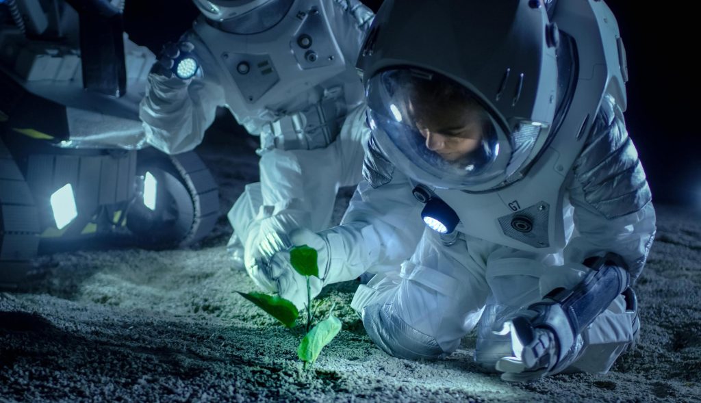 Gli scienziati coltivano piante nel suolo lunare - per la prima volta nella storia umana