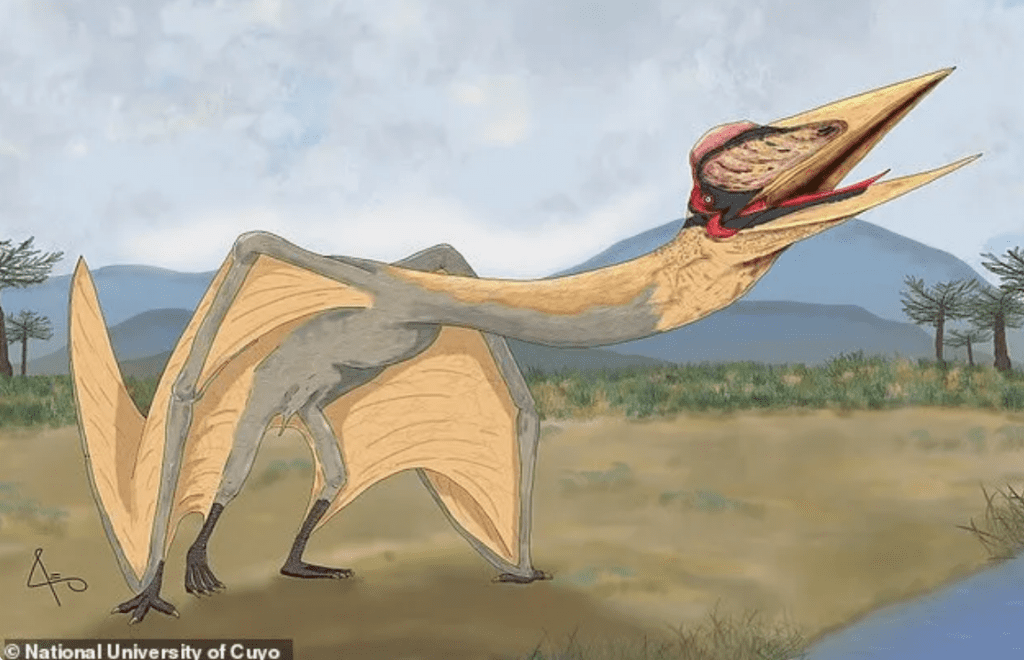 Scoperti in Argentina antichi fossili di rettili volanti giganti