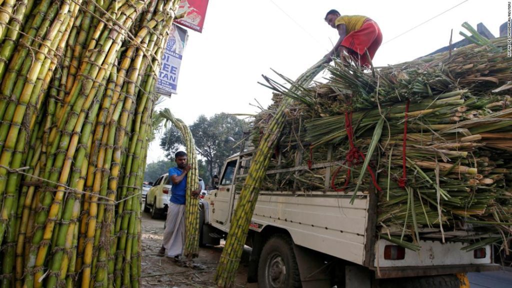 Esportazioni di zucchero dell'India: il più grande produttore mondiale che impone restrizioni