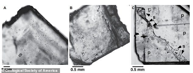 Gli organismi si trovano all'interno delle inclusioni fluide nel cristallo, che possono fungere da microhabitat per la crescita di piccole colonie.  Nella foto: inclusioni liquide in alite
