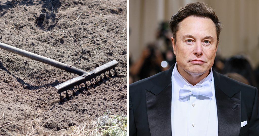 Elon Musk si offre di comprare il rastrello su cui è salito