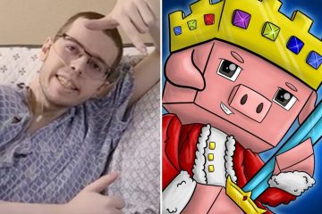 Minecraft YouTuber scompare un anno dopo la diagnosi di cancro