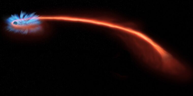 La luce polarizzata rivela il destino finale di "Spaghetti" stella da un buco nero