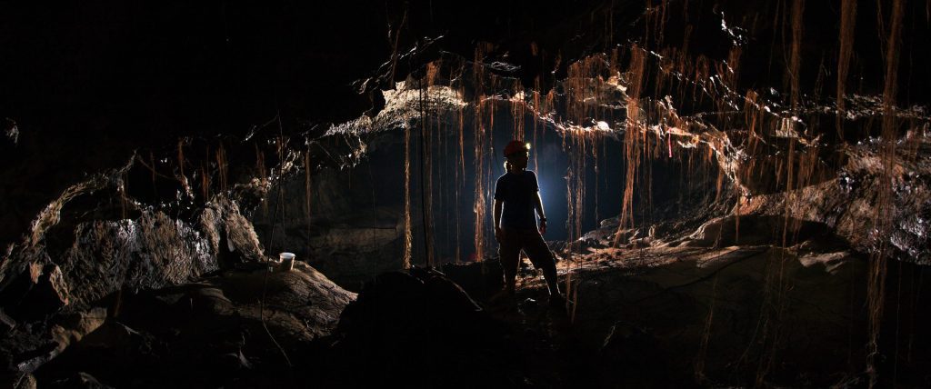 Antica "materia oscura" microbica: migliaia di specie batteriche sconosciute scoperte nelle grotte di lava delle Hawaii