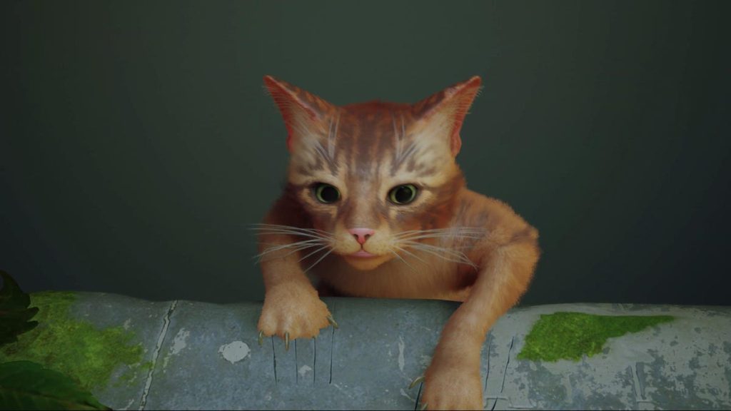 Cat Stray presenta problemi di prestazioni di Unreal Engine 4 su PC