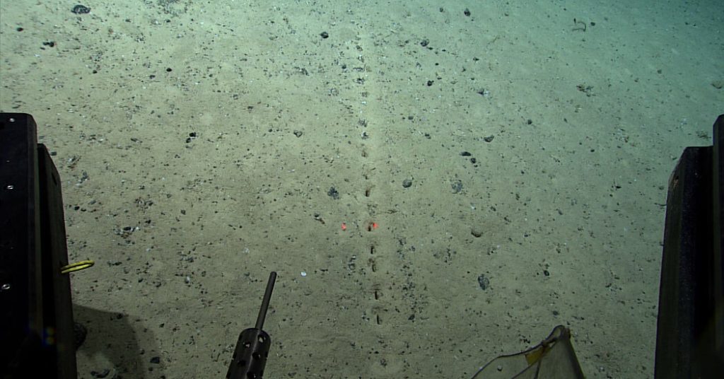 Ci sono buchi sul fondo dell'oceano.  Gli scienziati non sanno perché.
