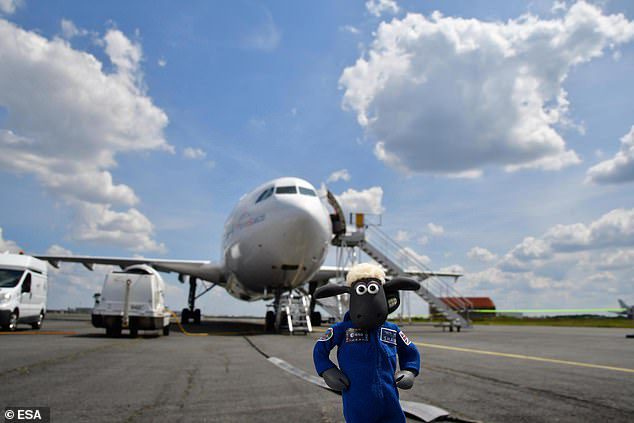 Shaun the Sheep ha anche preso un volo a bordo di un Airbus Zero G 'A310, durante uno dei suoi voli equivalenti che ricrea condizioni di 
