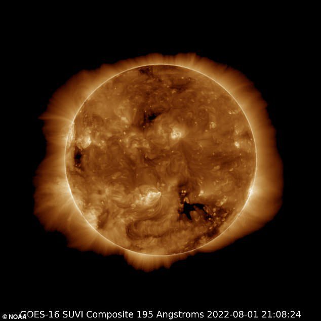 Il Solar Dynamics Observatory della NASA ha catturato questa immagine del nostro sole l'8 gennaio 2022