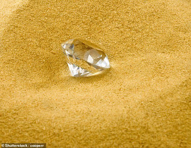 Il massiccio diamante, delle dimensioni delle unghie di un uomo, è stato valutato $ 100.000 dopo che Stewart lo ha portato agli esperti (foto d'archivio)