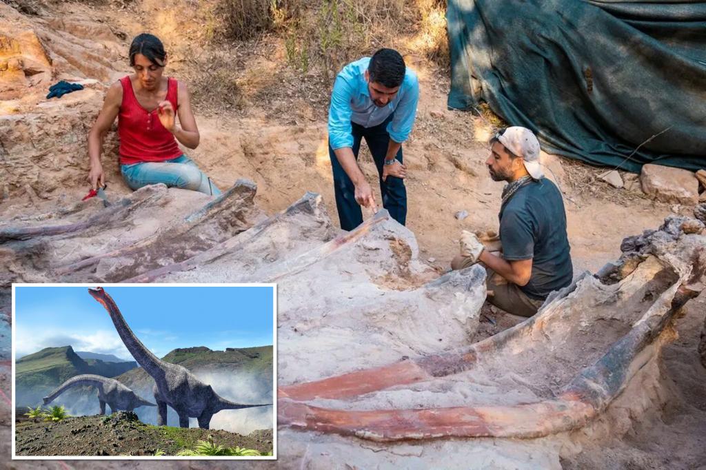 Uno scheletro di dinosauro alto 82 piedi è stato trovato nel cortile di un uomo in Portogallo