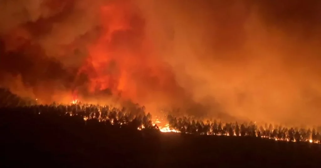 In Francia sono scoppiati incendi boschivi e migliaia di persone sono state evacuate dalle loro case