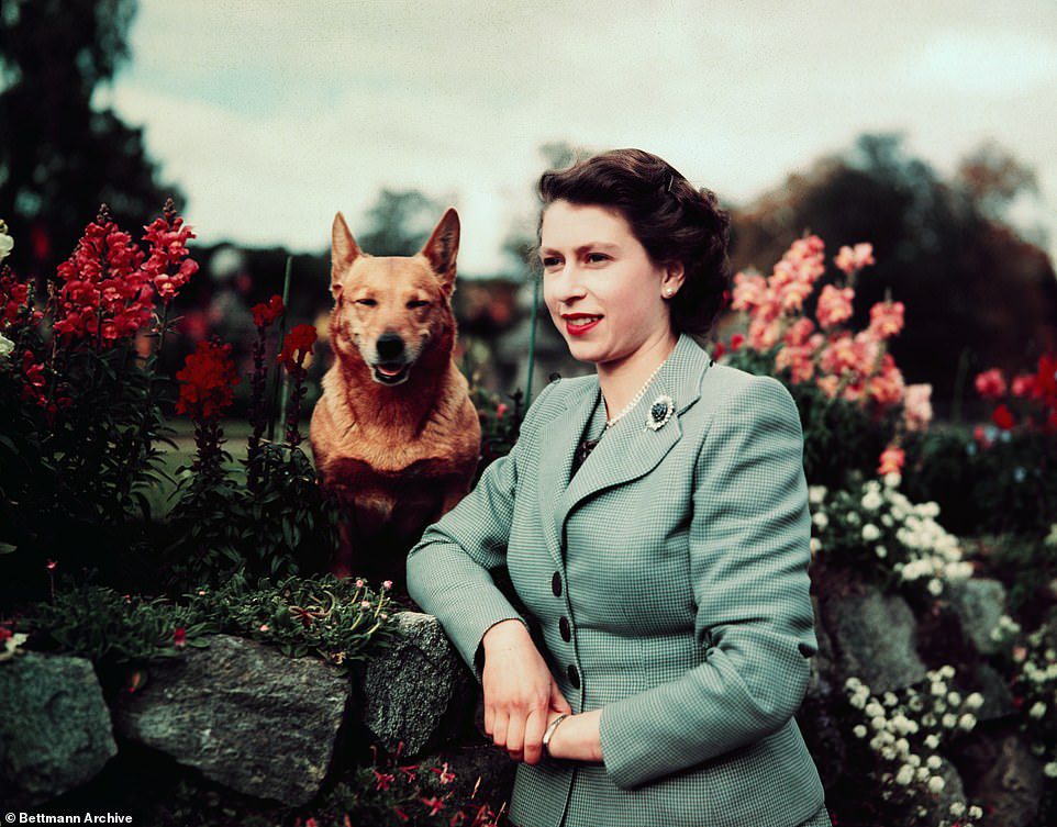 Solo poche settimane fa, la regina è stata vista portare a spasso i suoi cani nei giardini, cosa che fa da decenni