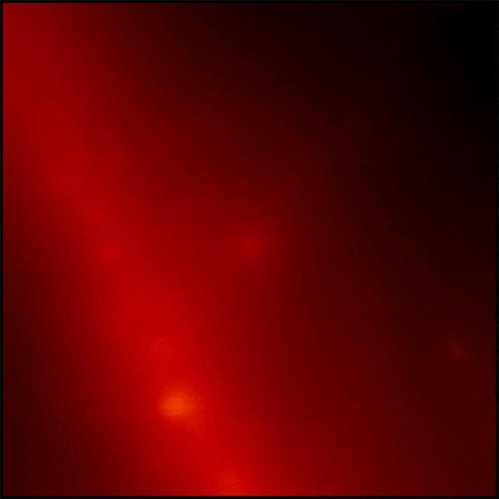 La gif mostra un debole punto rosso nello spazio che improvvisamente si illumina