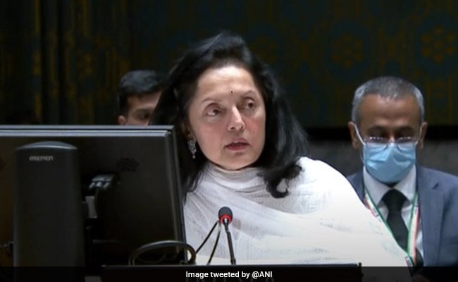 Ruchira Kamboj: 'Non c'è bisogno che ci dica cosa fare per la democrazia': l'India alle Nazioni Unite