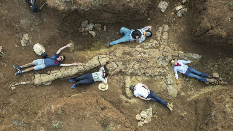 Plesiosaurus: I cacciatori di fossili in Australia hanno scoperto uno scheletro di 100 milioni di anni
