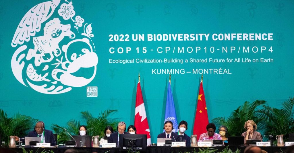 COP15 Colloqui sulla biodiversità: arruolare i paesi nel piano di conservazione "30x30".